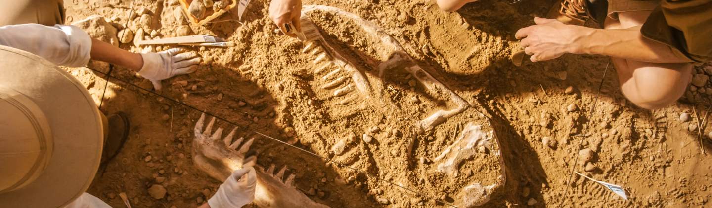 The “Dinosaur Diamond” is home to some of the most significant dinosaur fossil discoveries in the world